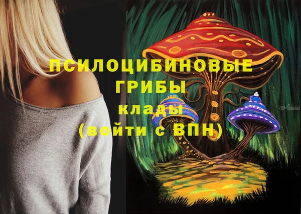 герыч Бородино