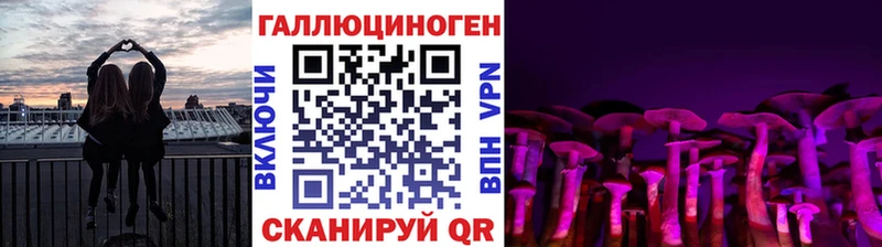 купить наркоту  Новороссийск  Галлюциногенные грибы GOLDEN TEACHER 