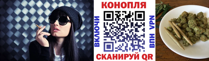 Канабис план Новороссийск